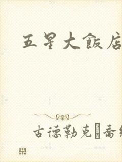 五星大饭店小说