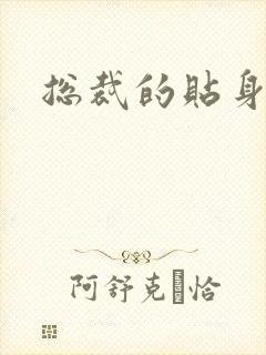 总裁的贴身女佣封面