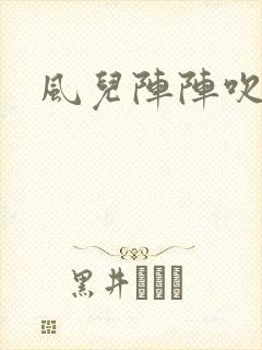 风儿阵阵吹封面