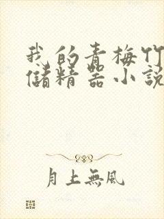 我的青梅竹马是储精器小说