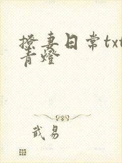 撩妻日常txt青灯