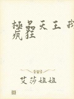 极品天王 我本疯狂封面