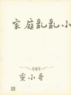 家庭乱乱小说封面