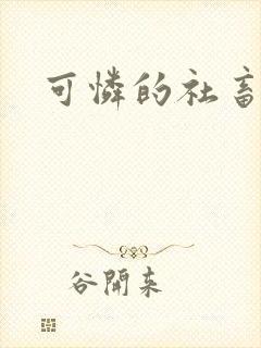 可怜的社畜小说