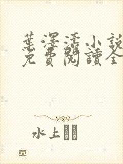 叶泽涛小说全文免费阅读全文