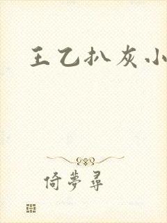 王乙扒灰小说封面