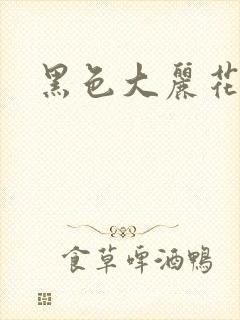 黑色大丽花图片