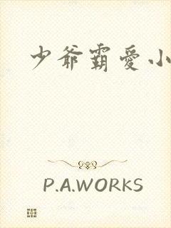 少爷霸爱小丫头