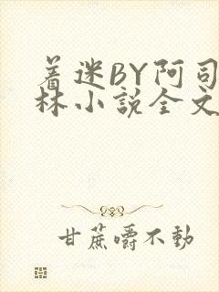 着迷BY阿司匹林小说全文免费阅读封面