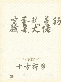 完蛋我养的小白脸是大佬