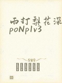 雨打梨花深闭门poNp1v3封面