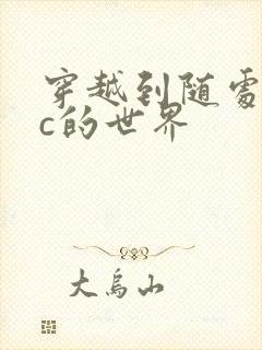 穿越到随处可以c的世界