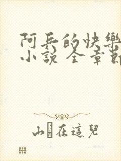 阿兵的快乐生活小说 全章节阅读免费