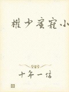 权少蜜宠小娇妻封面