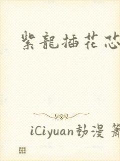 紫龙插花芯方正