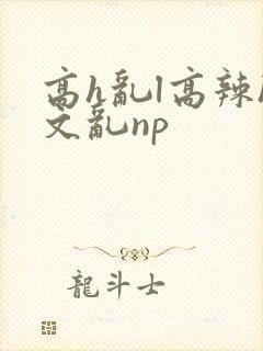 高h乱l高辣h文乱np