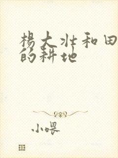 杨大壮和田桂花的耕地