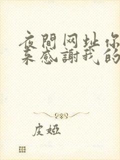 夜间网址你会回来感谢我的