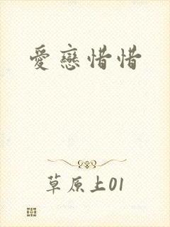 爱恋惜惜