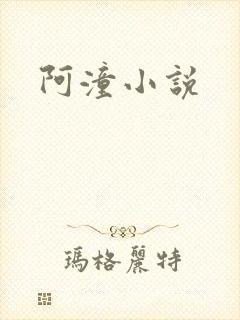 阿潼小说