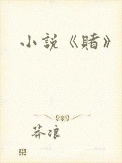 小说《赌》封面