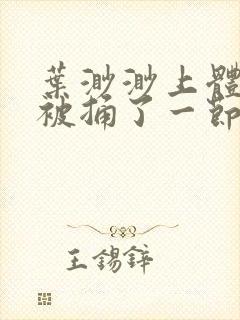 叶渺渺上体育课被捅了一节课封面