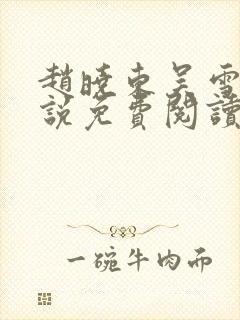 赵晓东吴雪晴小说免费阅读封面