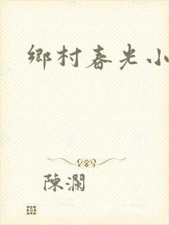 乡村春光小说封面