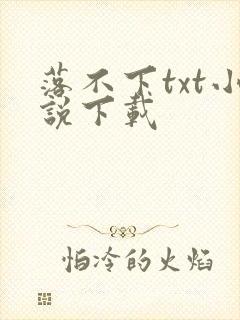 落不下txt小说下载封面