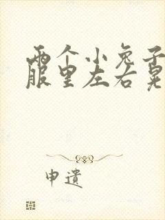 两个小兔子在衣服里左右晃