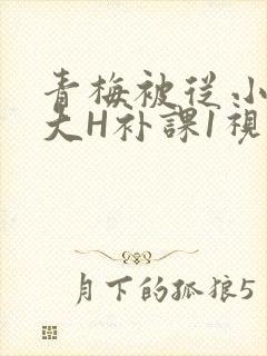 青梅被从小摸到大H补课1视频