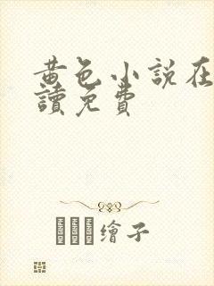 黄色小说在线阅读免费