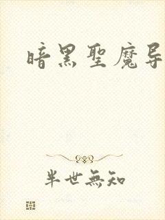 暗黑圣魔导封面