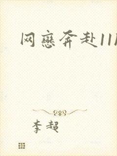 网恋奔赴11h封面