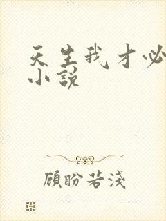 天生我才必有用小说