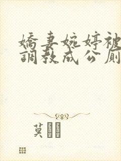 娇妻婉婷被黑人调教成公厕小说封面