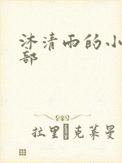 沐清雨的小说全部