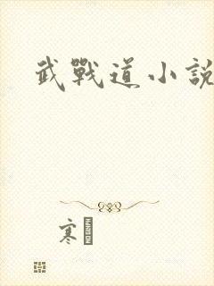 武战道小说