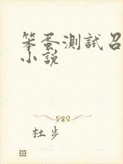 笨蛋测试召唤兽小说封面