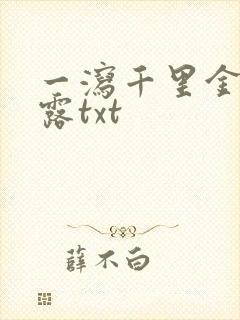 一泻千里金银花露txt