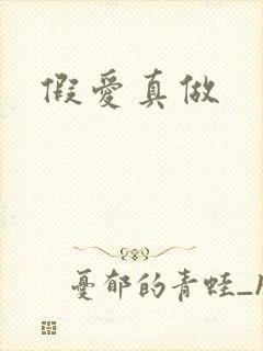 假爱真做