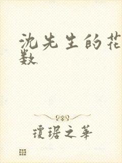 沈先生的花式调数