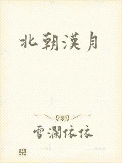 北朝汉月封面