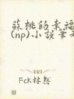 苏桃的幸福生活(np)小说笔趣阁