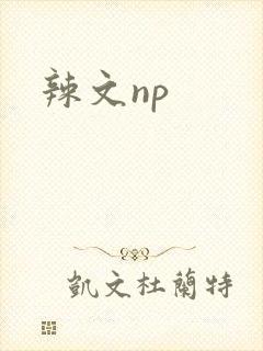 辣文np