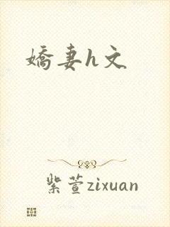 娇妻h文封面