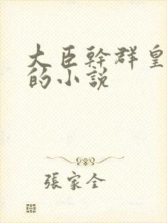 大臣干群皇太后的小说封面