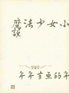 魔法少女小圆小说