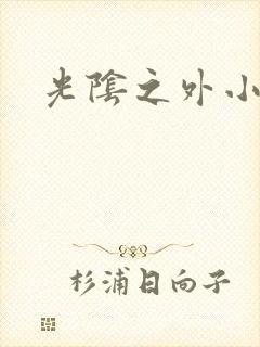 光阴之外小说