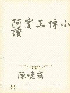 阿宾正传小说在读